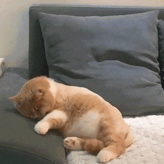 求助 这次随区前百得多少才稳啊(紧张,脚趾抓地