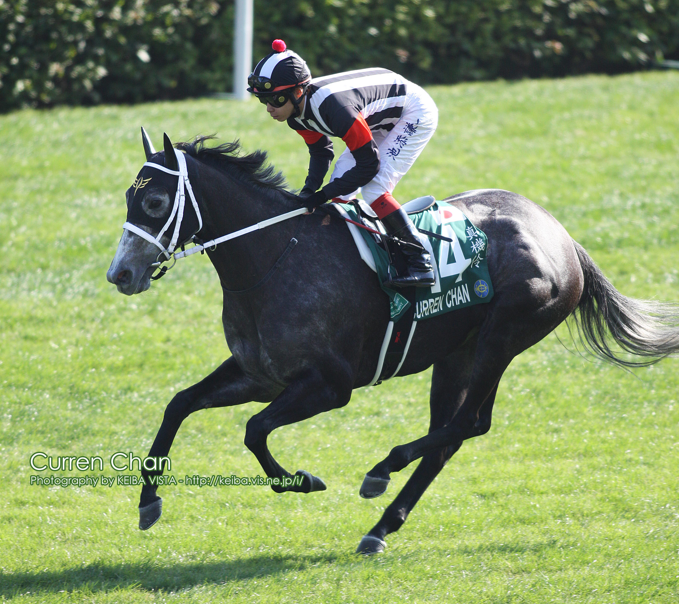 [闲聊杂谈][提问求助]来点真机怜色图