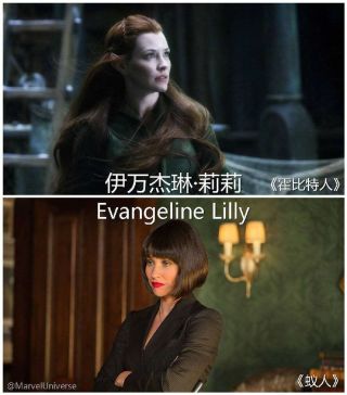 指环王精灵女王凯兰崔尔和洛汗国国王伊欧墨离开中土世界去了阿门洲