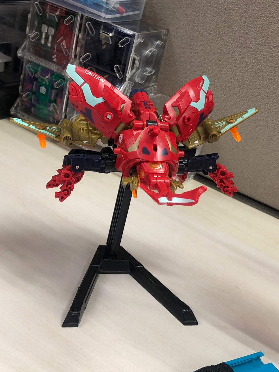 其他收藏没忍住买了红色屎壳郎哦独角仙