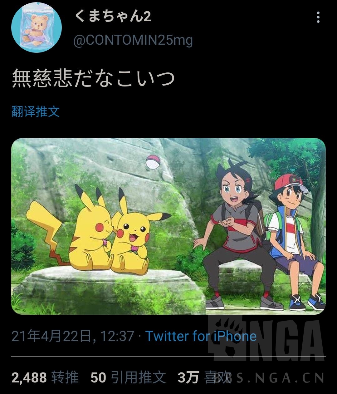 宝可梦旅途65,艾丽丝冠军服,小茂,大师兄等老宠回归