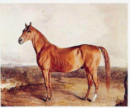 剧情相关一马当先万马无光传奇的日蚀