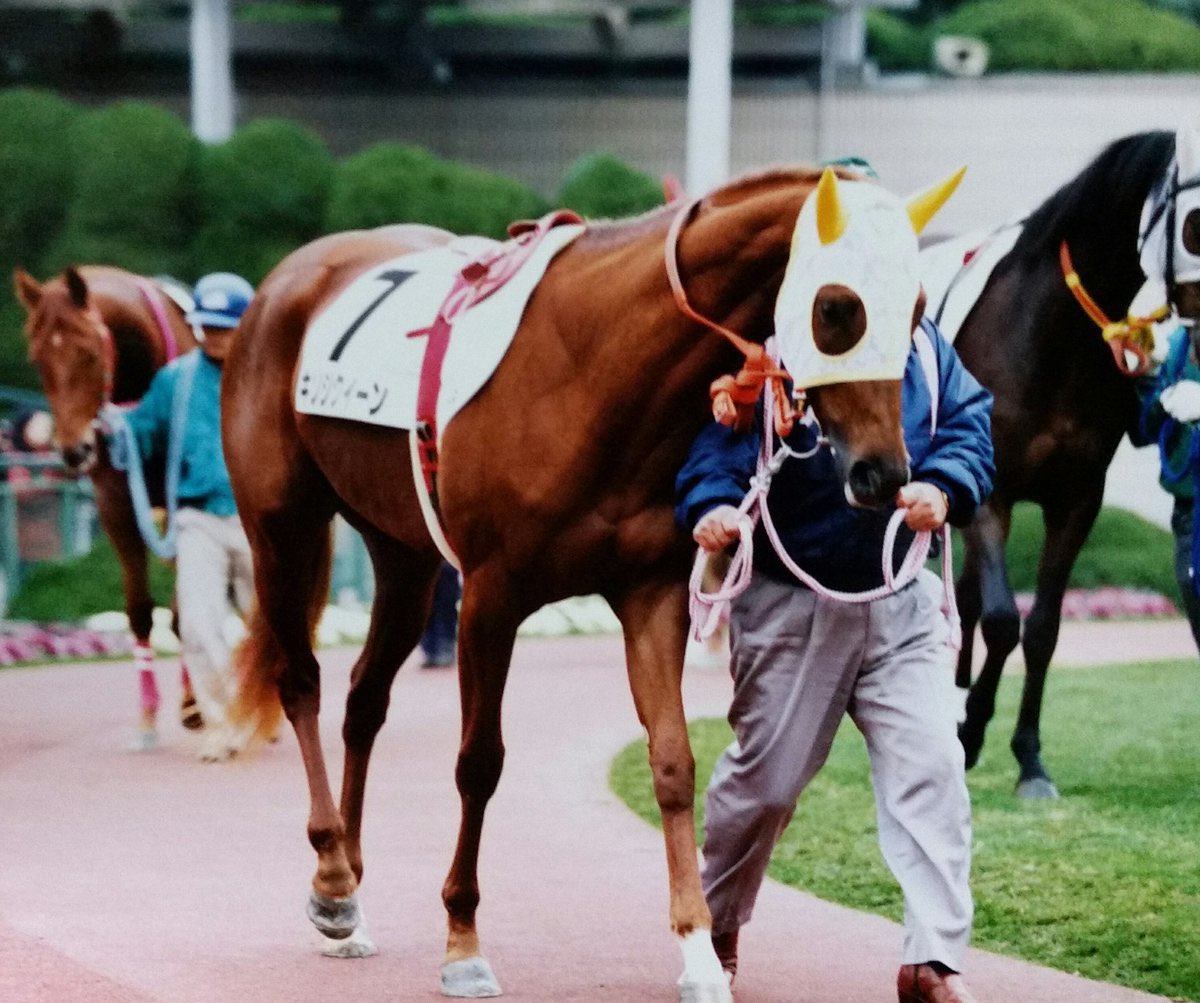 同人相关狄杜斯相关虽说没多少包含高浓度麦昆x狄杜斯