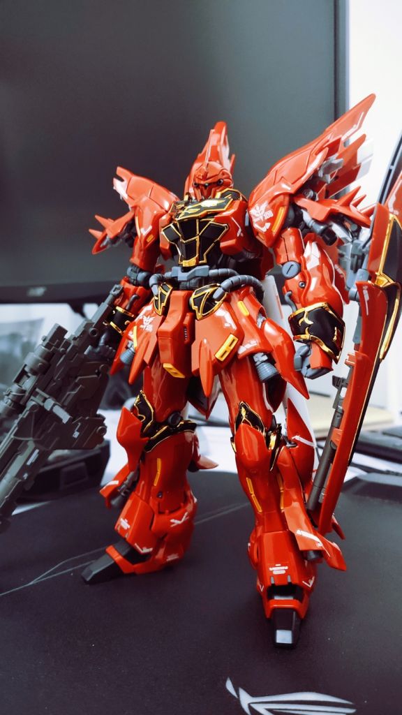 [问答咨询]rg新安洲全装备不用支架能站稳吗?