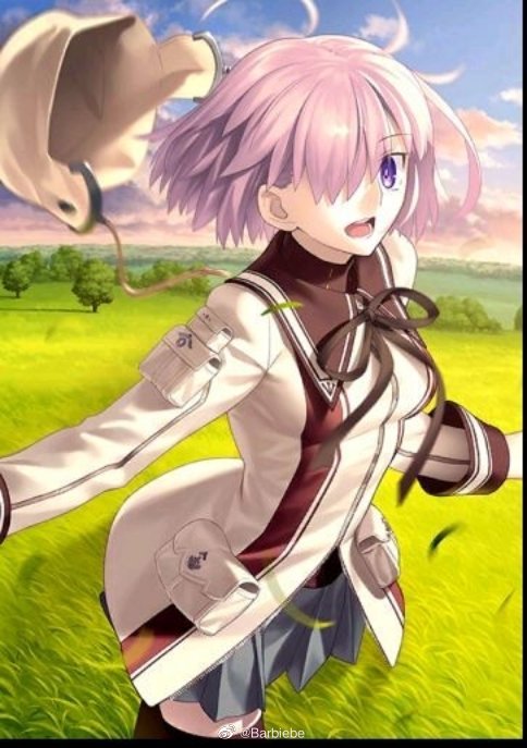 理性蒸发a能不能给小茄子来个简易灵衣桃