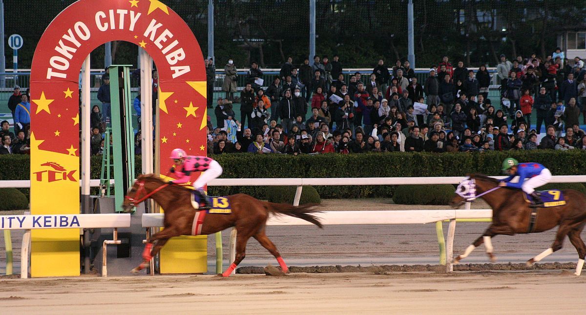 现实考证スマートファルコン醒目飞鹰生涯简介