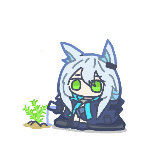 搬运dcinside迷迭香种迷迭香