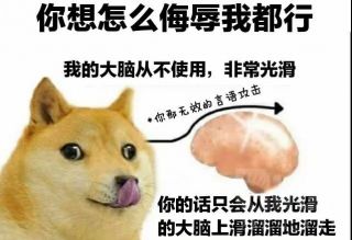 失智氵大家来发一些能让人感觉快乐的图片和表情包吧