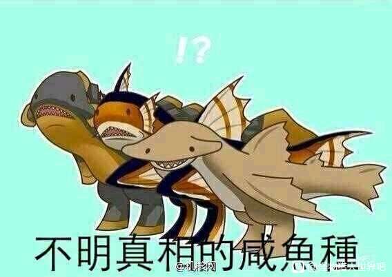 [怪物猎人同人(怪)][安科/安价][重制版]怪物猎人の鬼才联动(进度个