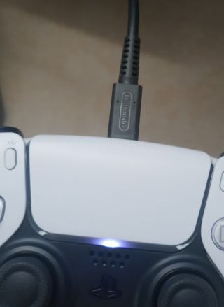 ps5手柄用ns充电器正好
