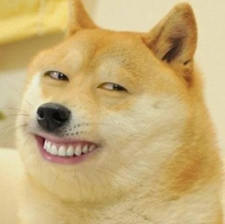 假笑狗表情包图片