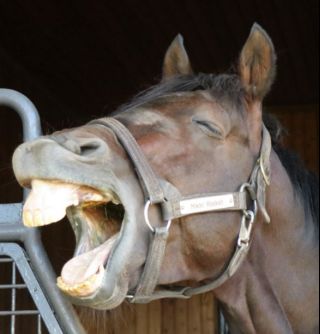 [闲聊杂谈] 今天的小特不是我的对手,整理赛马娘企划角色历年宝冢纪念