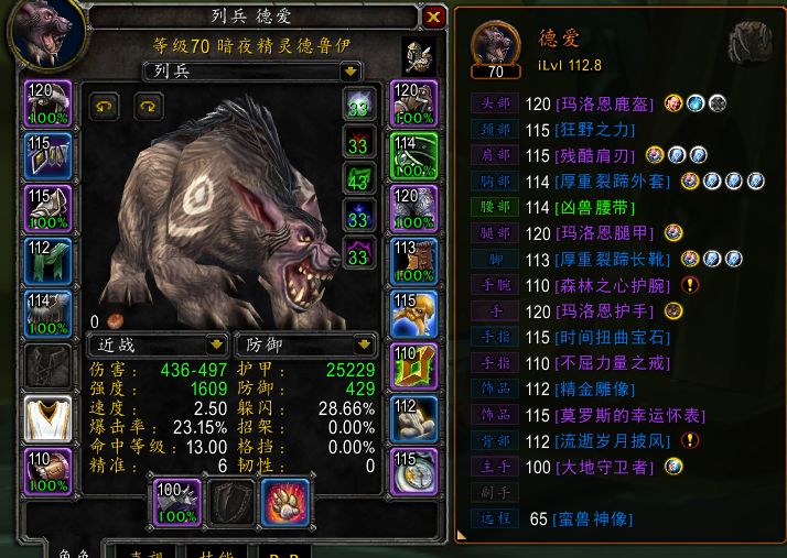 目前tbc抗所有副本的熊t