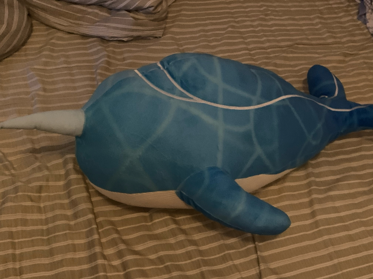 [闲聊杂谈]公子的鲸鱼抱枕到货了