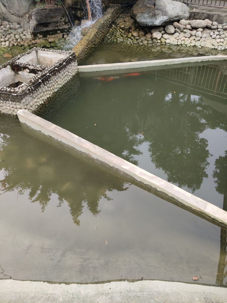 出去吃个饭,dna动了