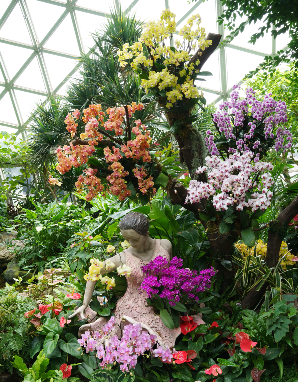 去了趟上海辰山植物园