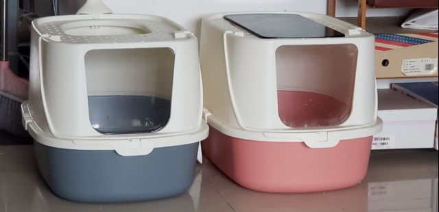 养大猫的都买的什么屎盆子啊