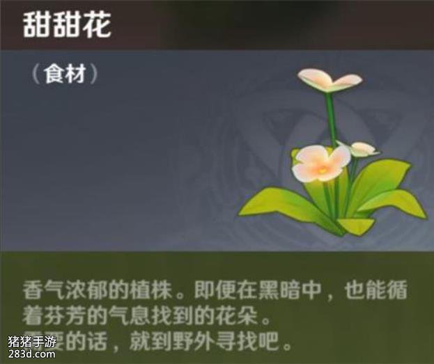 [提问]说起来派蒙旁边的小黄花是什么