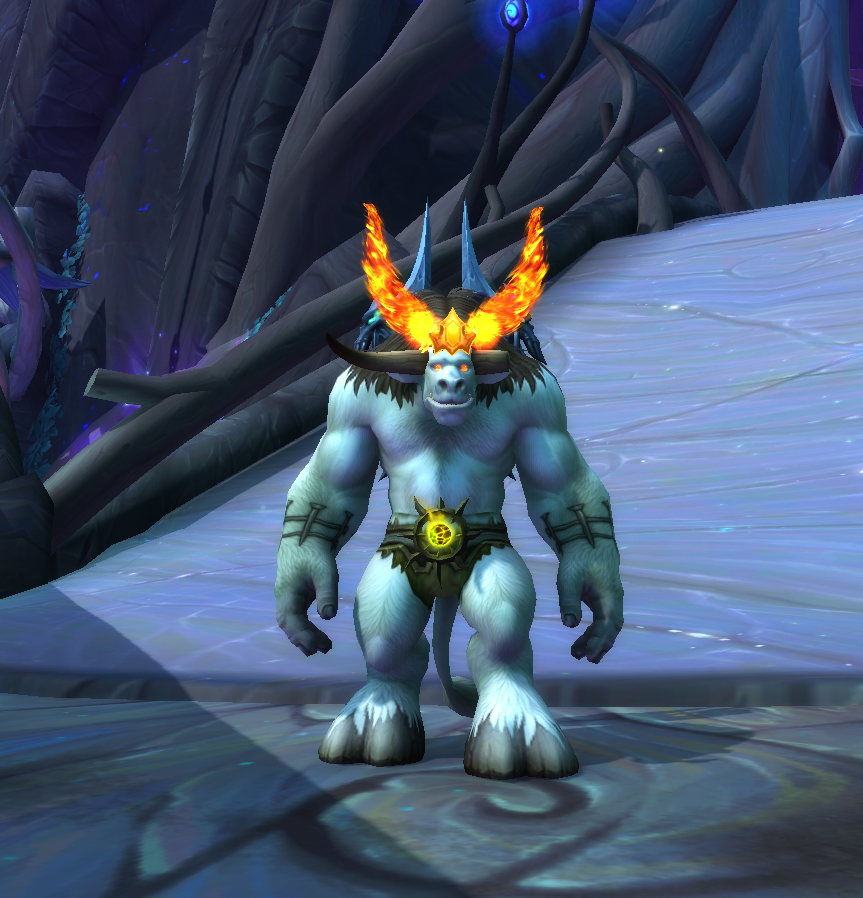 大佬们还有没有牛头人牧师求幻化