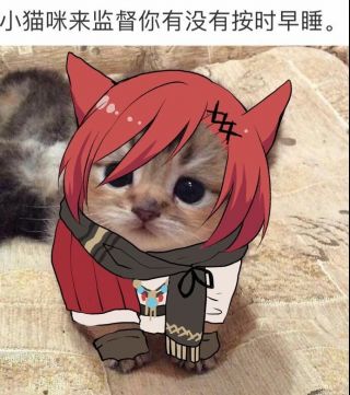 求助氵想要小红猫的一些表情包