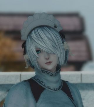 有没有好兄弟给我看一眼龙一的2b发型返图