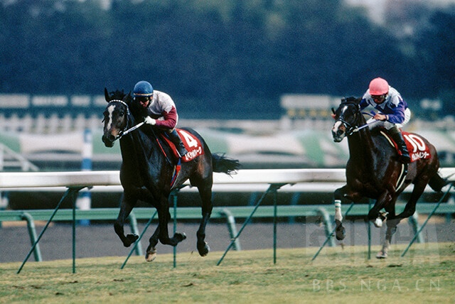 [翻译/搬运] netkeiba上一篇关于特别周的生平介绍文,有比较多的细节