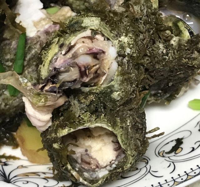 老哥们 东北想买点藤壶尝尝