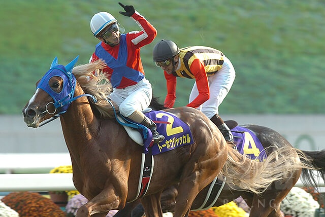 翻译搬运netkeiba上一篇关于特别周的生平介绍文有比较多的细节完结