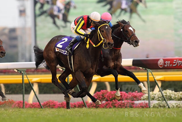 翻译搬运netkeiba上一篇关于特别周的生平介绍文有比较多的细节完结