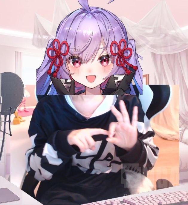 高小姐本体从地下室出来了