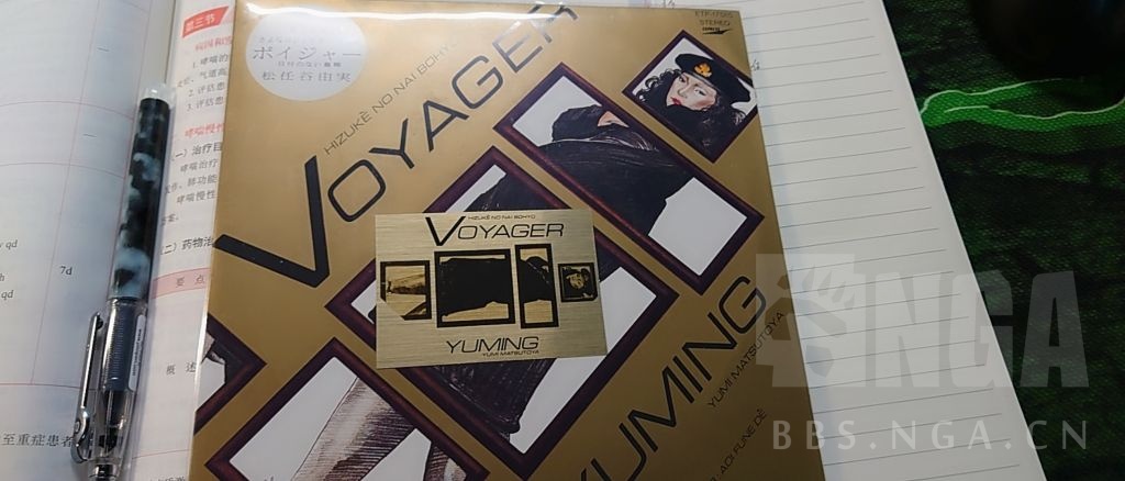 讨论终补完的那首voyager日付のない墓标真的推荐去听一下原曲唱片