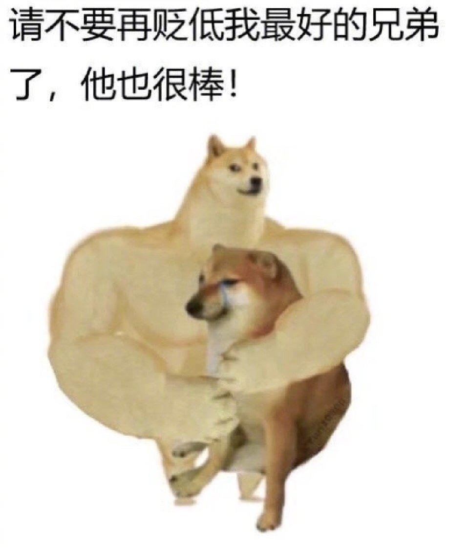 求一张崩三玩家柴犬图