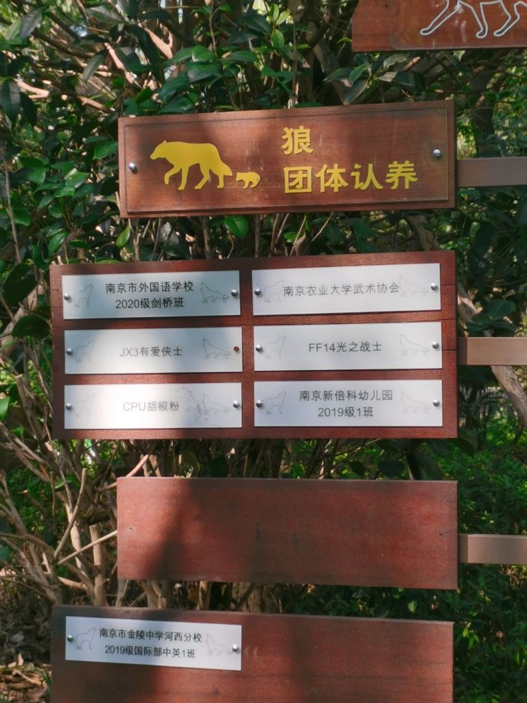 来动物园参观光呆认养的动物