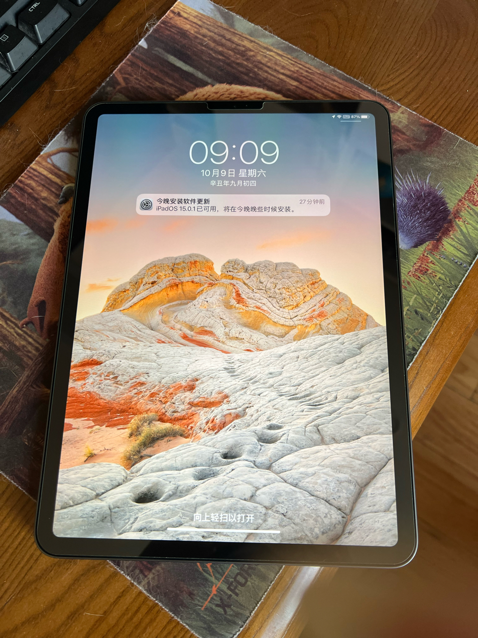 出售自用ipadpro202011寸128g国行已出