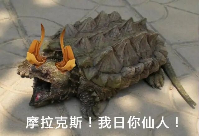 [闲聊杂谈]坨子哥这个到了