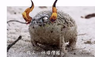 [闲聊杂谈]坨子哥这个到了