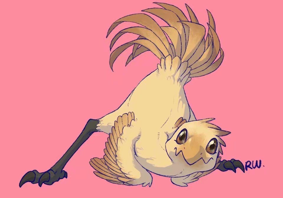 想问下兄弟们有没有陆行鸟的图片