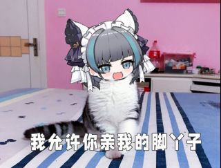 破事氵来点猫猫吊图