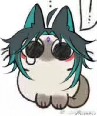 [求图] 求一波魈猫猫的表情包!顺便问下有没有必要抽阿老师 nga玩家社