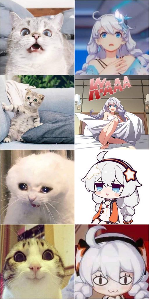 图氵新的琪猫猫图