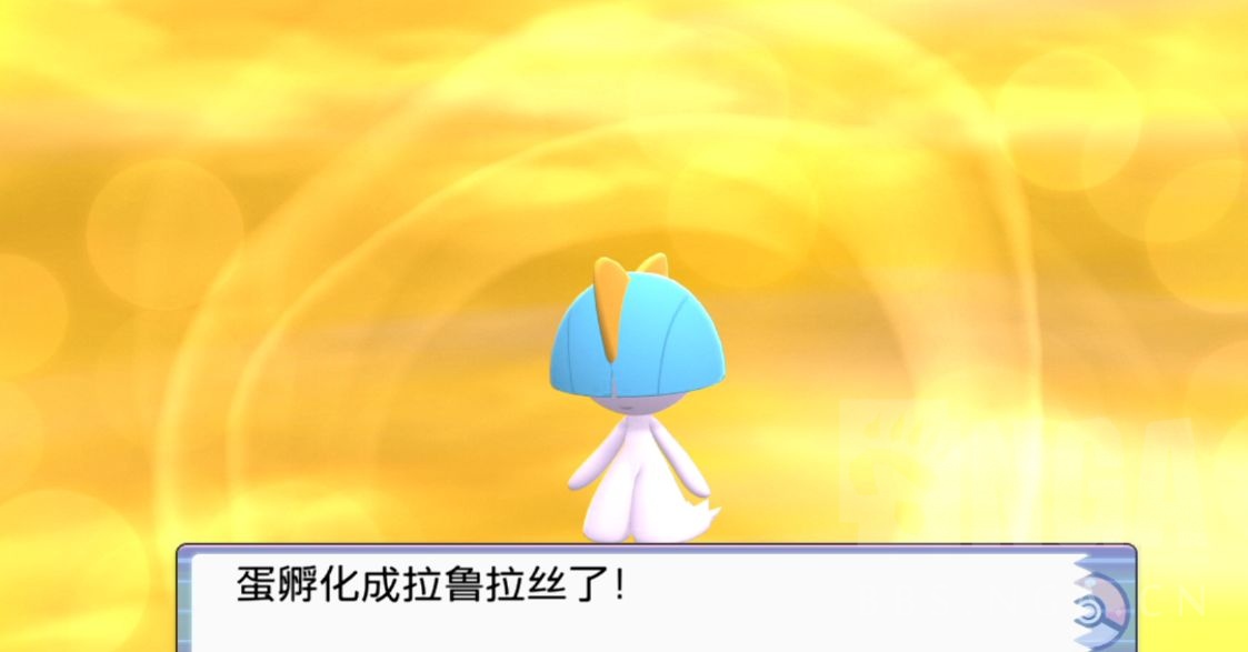 钻石珍珠复刻拉鲁拉斯为什么有公的选项孵蛋太难了