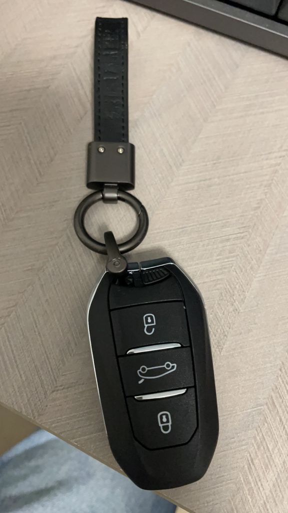 凡尔赛c5x简单提车防一血