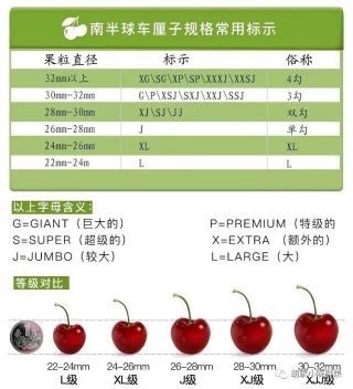 沃尔玛车厘子xl