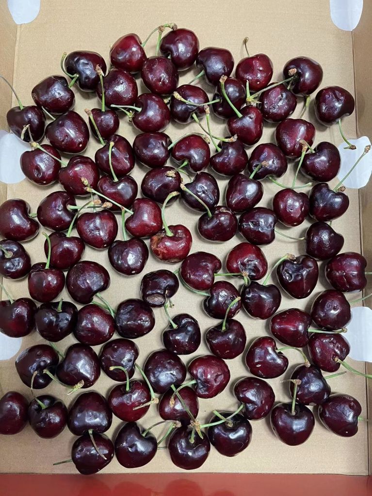 你们京东收到的车厘子好么我的都是坏的多