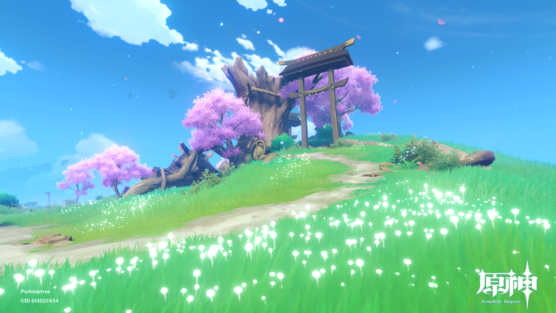 拍照氵厨力放出一个相当随便的图楼第二组在30楼更新完毕