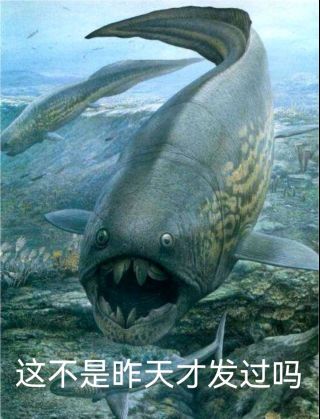 [氵一贴]这种现象是不是说明ff14已经火了? nga玩家社区