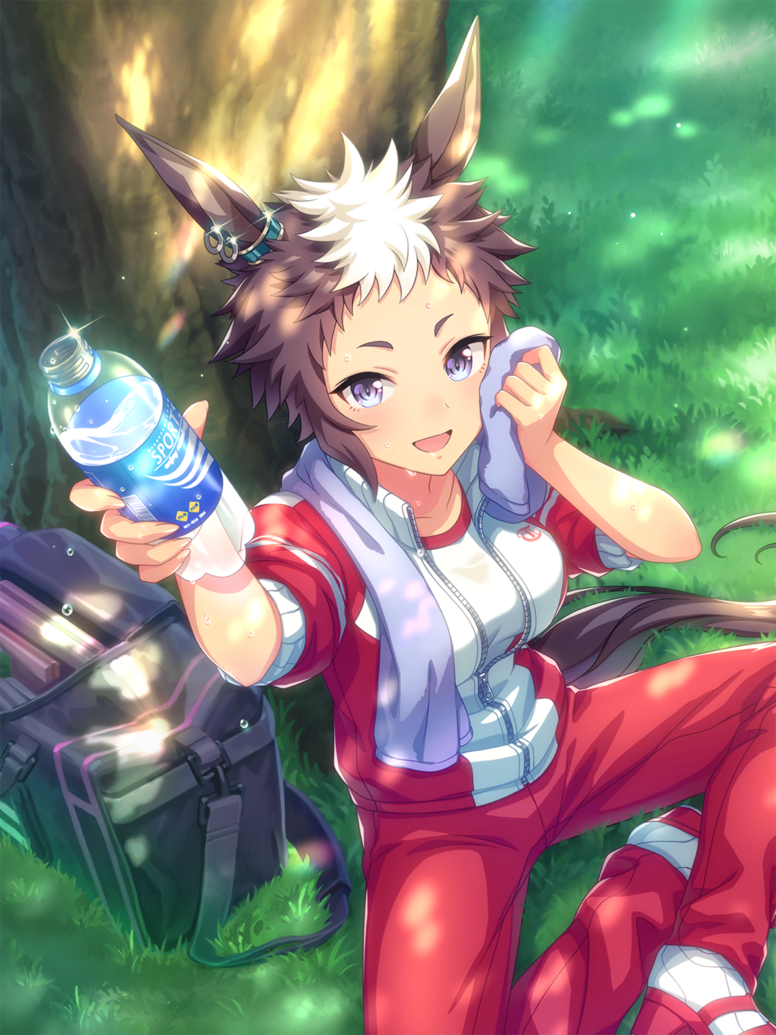 游戏攻略224周年更新ssr成田路目白光明里见光钻sr樱