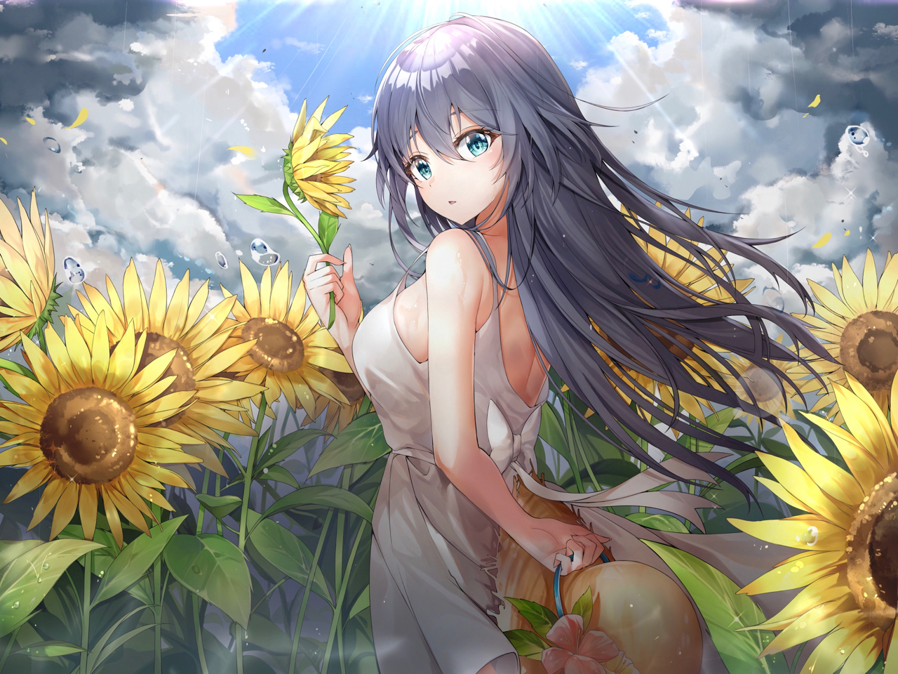 图氵太阳花田的阿符