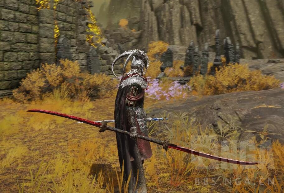 可能火星发现一个挺帅的双头刀