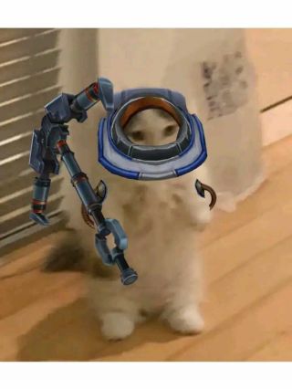 搬运佛耶戈猫猫系列表情头像包